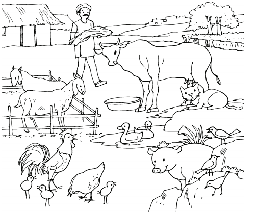 Farm