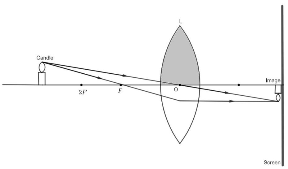 One-half of a convex lens is covered with black paper