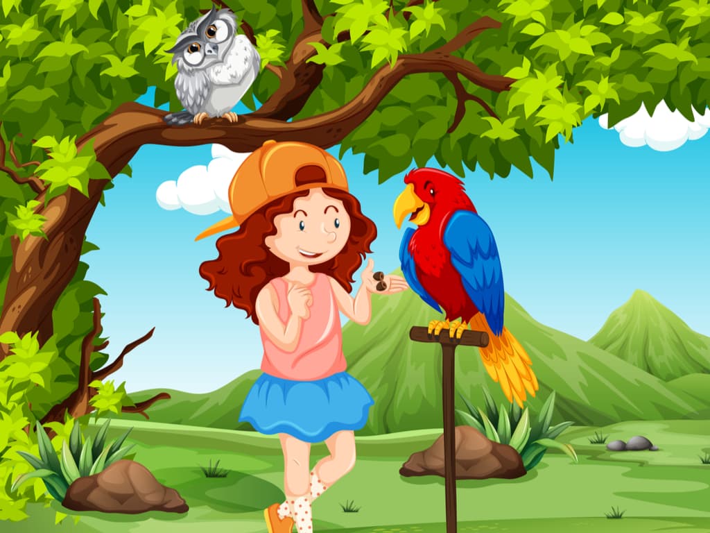 seo images