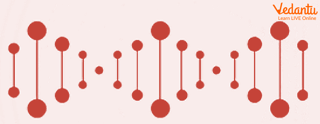 DNA Molecules