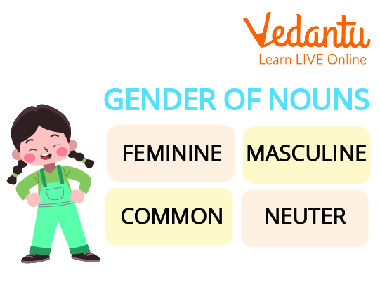 Gender of Nouns