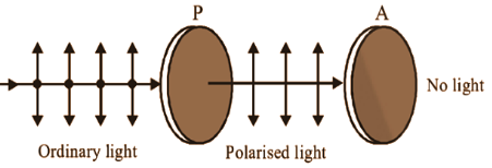 Malus law