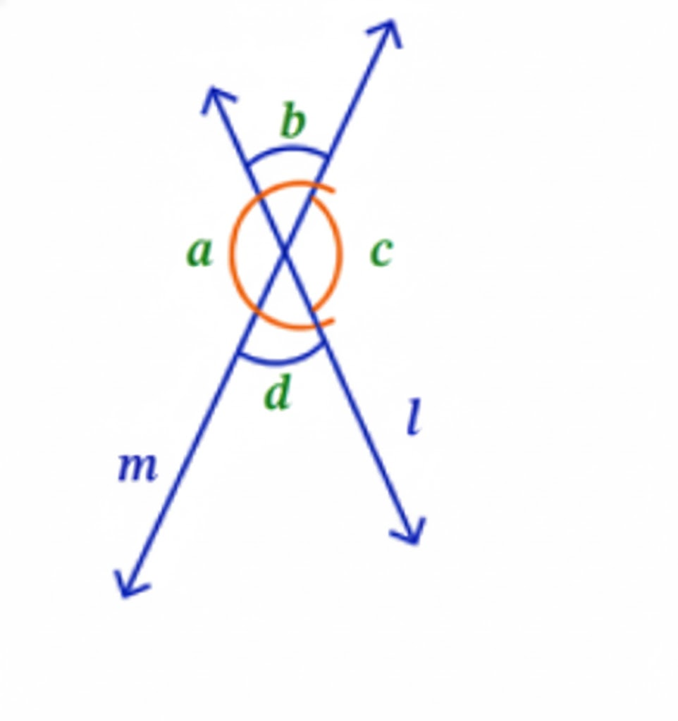 List all the linear pairs and vertically opposite angles you observe from