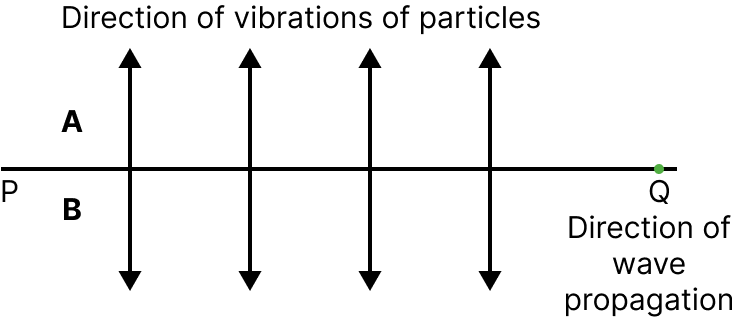 Transverse Wave